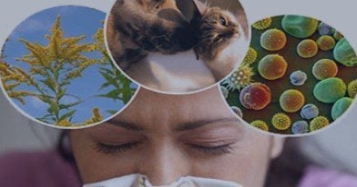 Allergy & Immunology