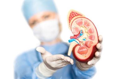 nephrologist Brooklyn