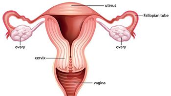 Amenorrhea Treatment - Best Gynecologists in Brooklyn NYC