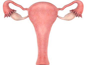 Endometritis Treatment - Best Gynecologists in Brooklyn NYC