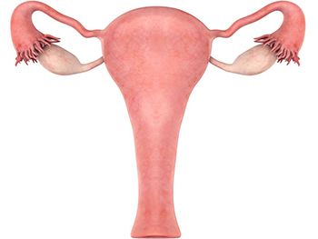 Endometritis Treatment - Best Gynecologists in Brooklyn NYC