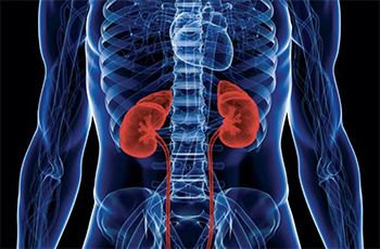 Kidney Problems Treatment in Brooklyn NYC