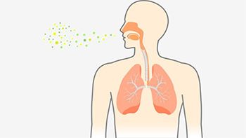 Pneumonia Treatment - Best Internal Medicine Doctors in Brooklyn NYC