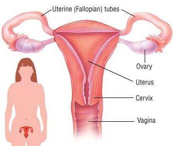 Tratamiento de la salpingitis - Century Medical and Dental Center