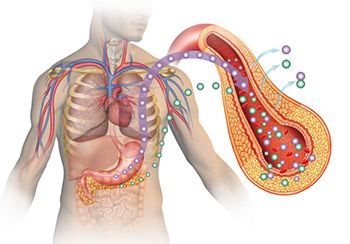 Diabetes Treatment - Century Medical & Dental Center Internists